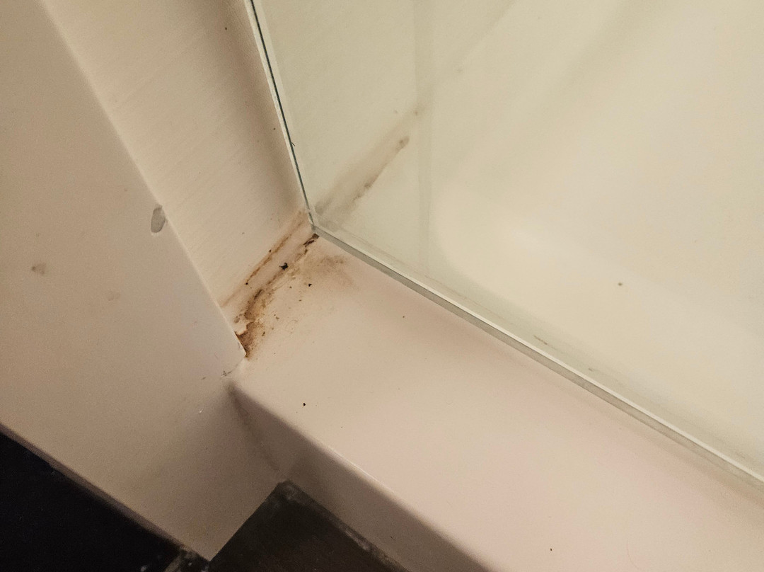 Hilton Garden Inn Denison/Sherman/At Texoma Event Center主图