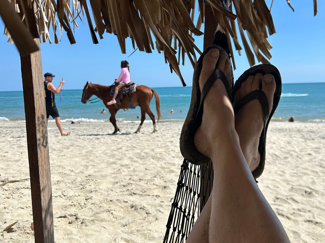 Villa Botero By Casa Mojito主图