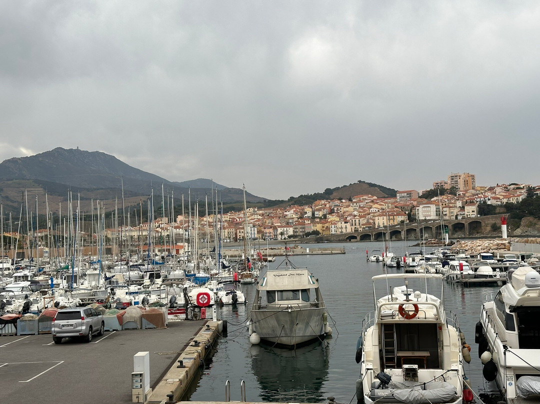 Office De Tourisme De Banyuls-sur-mer景点图片