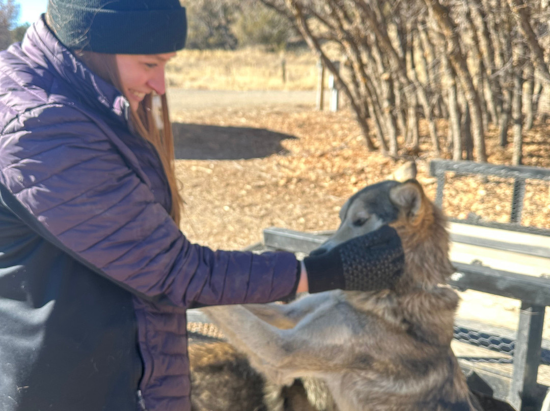 Mountain Paws-帕戈萨斯普林斯必去景点