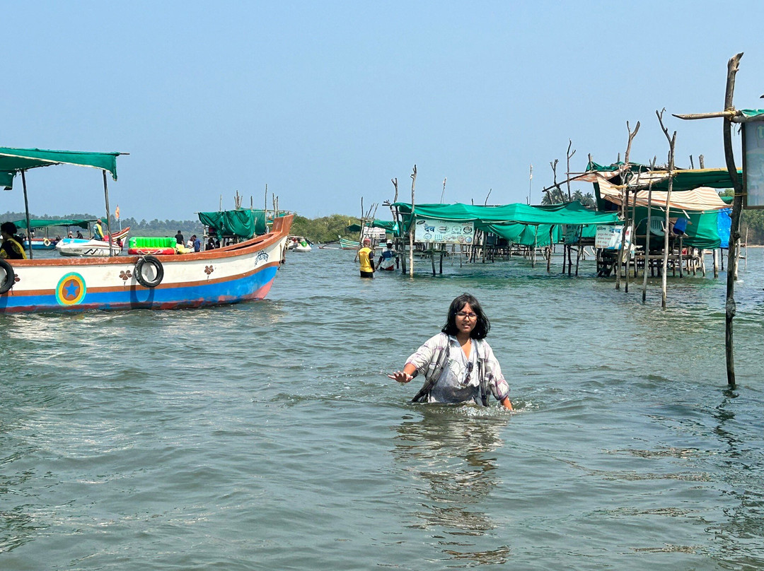 Tsunami Island Vengurla景点图片