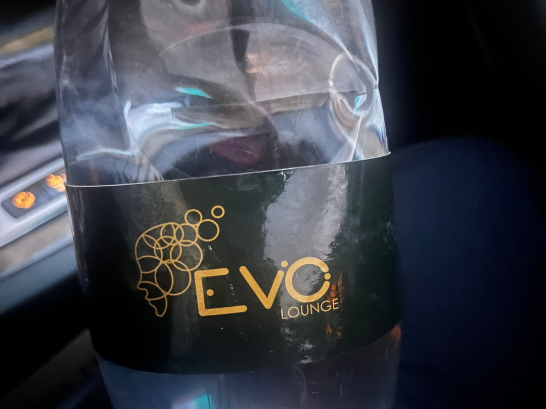 The Evo Lounge景点图片