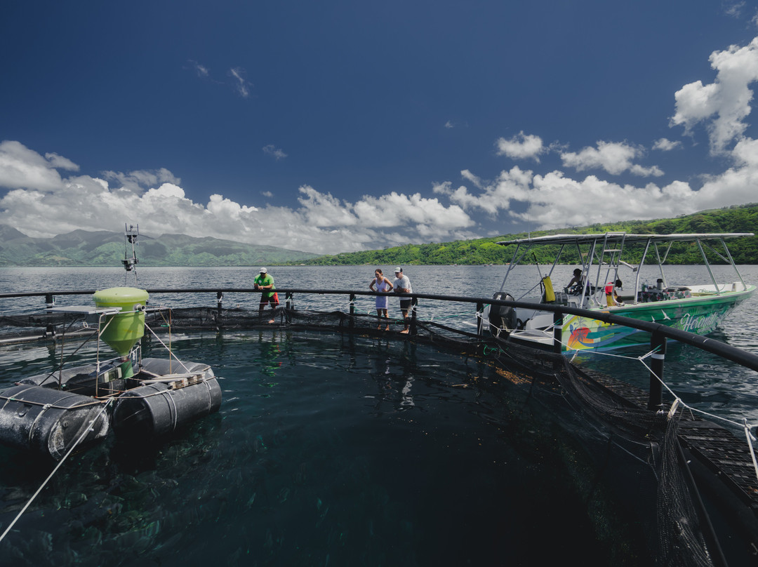 Heremiti Ura Excursion-Vairao必去景点