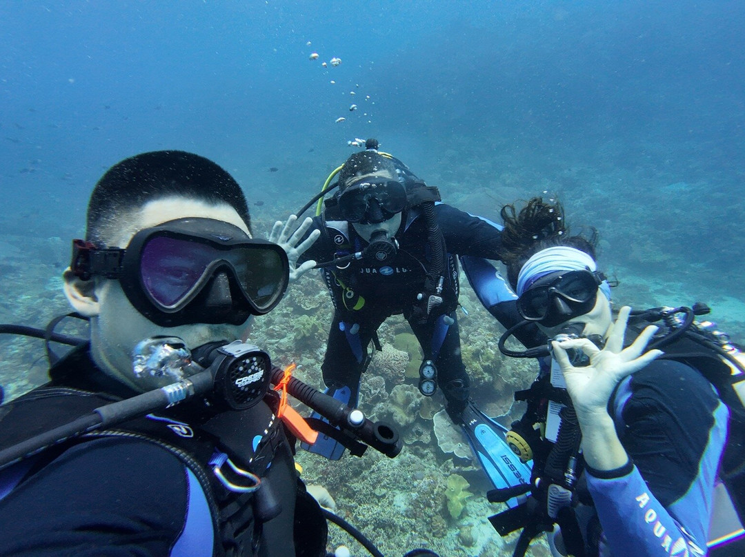 Bahura Dive Siquijor景点图片