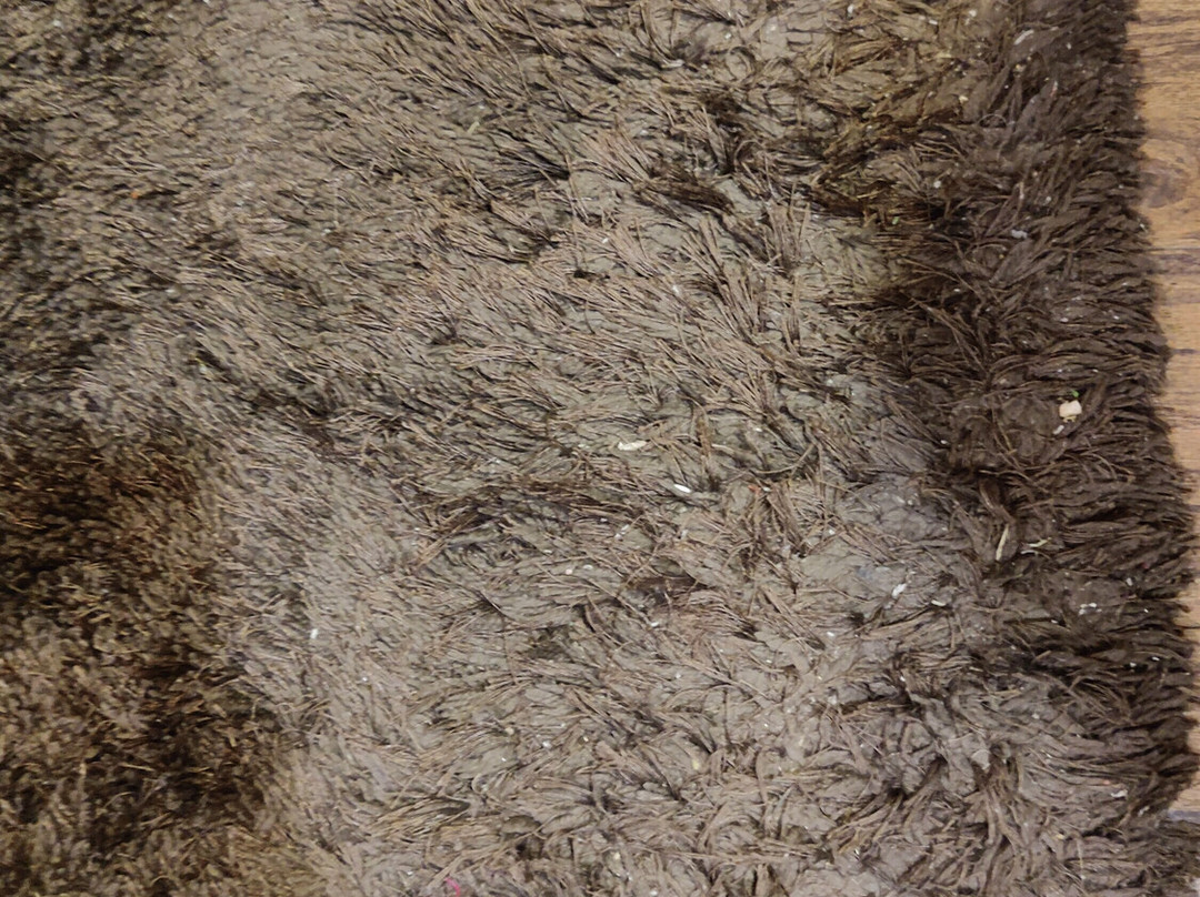 Hotel Sheela Towers主图