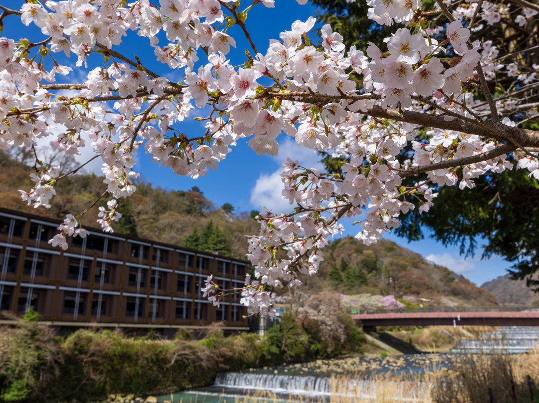 Hotel Indigo Hakone Gora By IHG主图