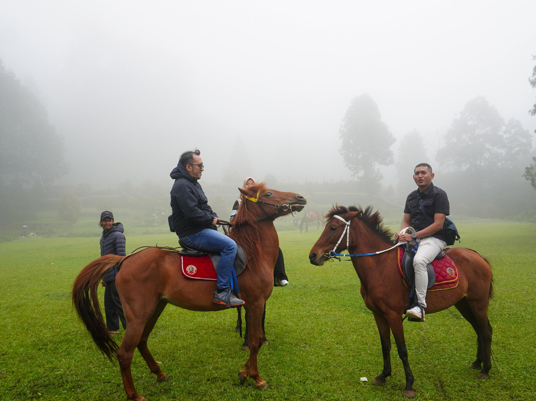 Gedong Songo Temple景点图片