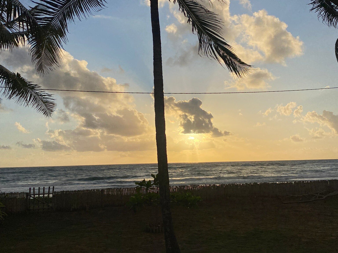 Saquaira Beach-Barra Grande必去景点