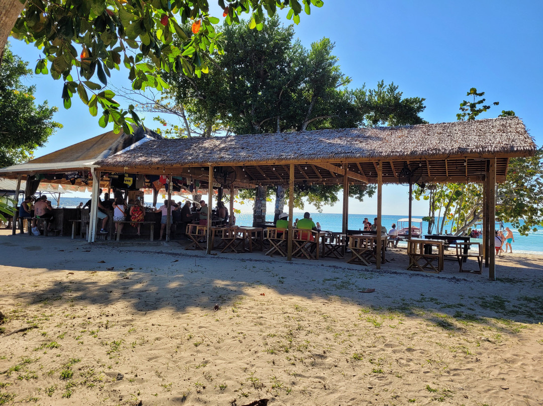 Lloyd Transport Service - Day Tours-Lucea必去景点