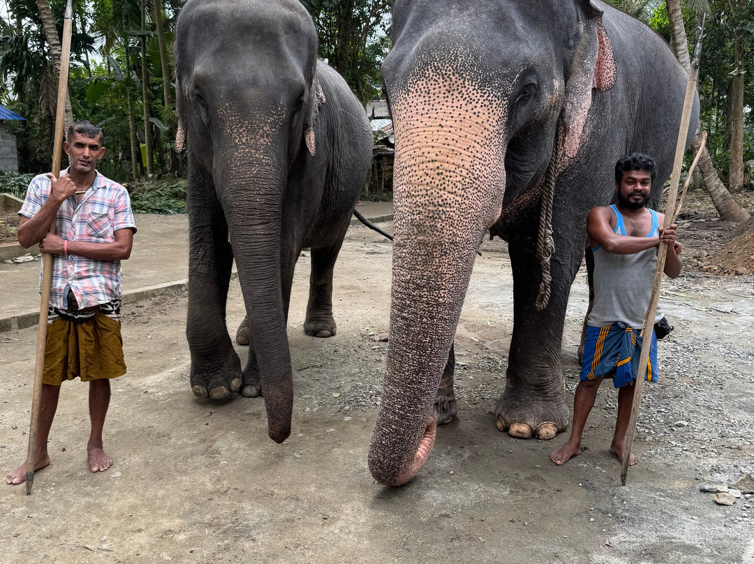 Sri Lanka Peter Tours-阿杭玛必去景点