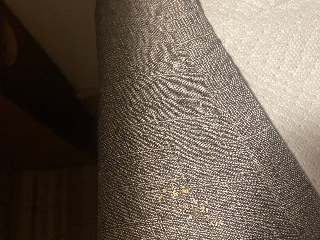 Holiday Inn Express & Suites St. Petersburg - Madeira Beach By IHG主图