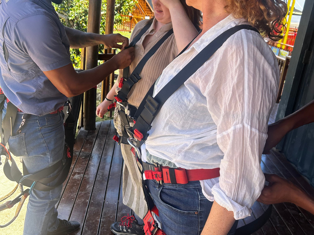 K3 Zipline Sa Forest Adventures-卡里登必去景点