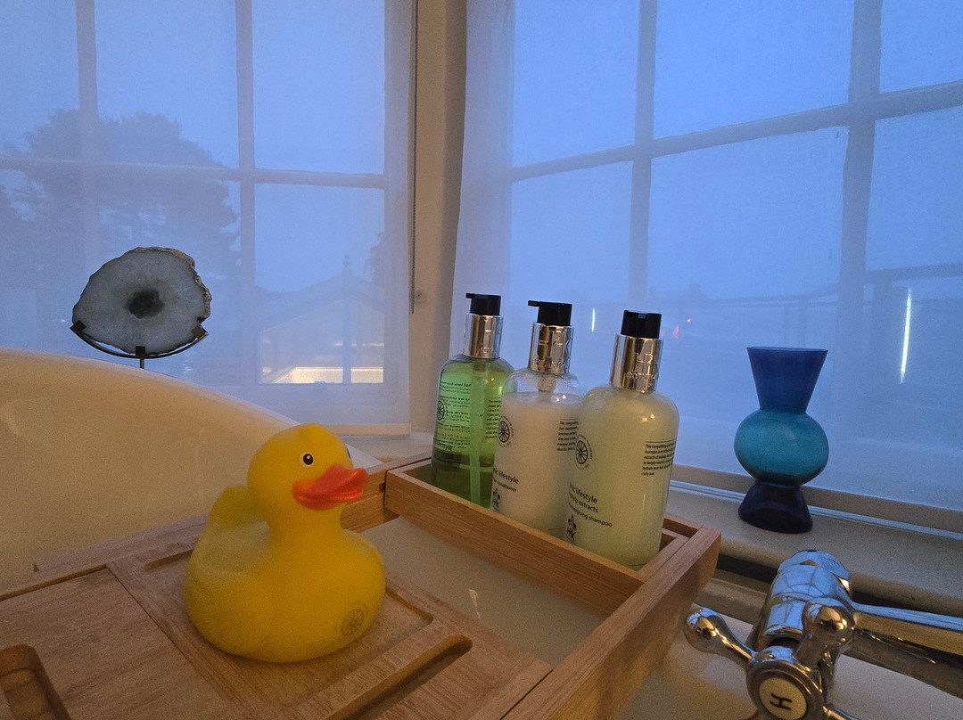 经典英国韦恩安居酒店主图