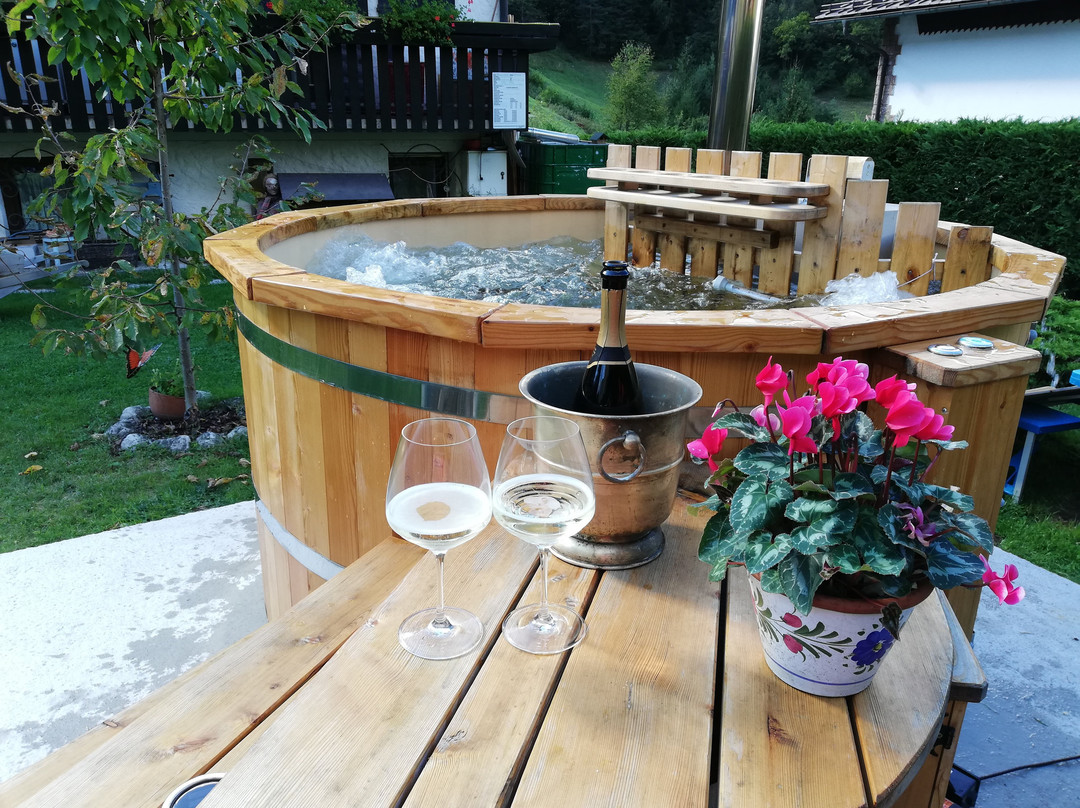 Perarolo di Cadore酒店住宿-Bed & Breakfast La Genzianella