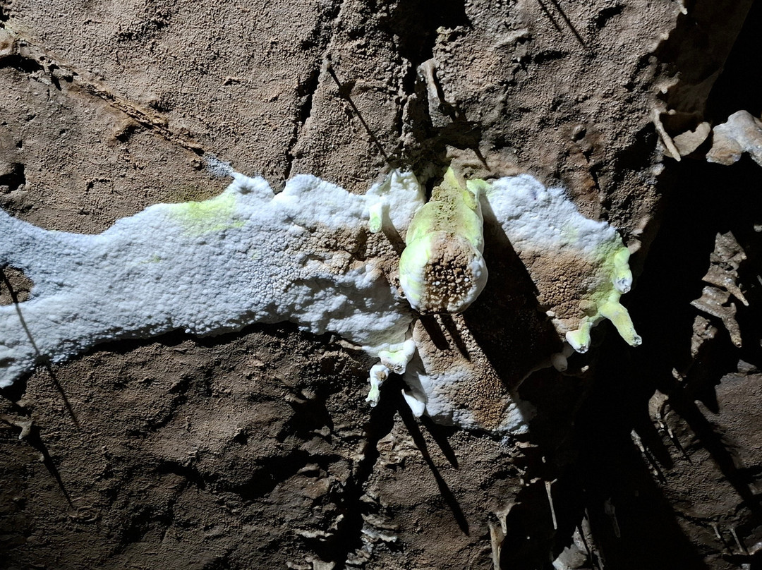 Ingleborough Cave景点图片