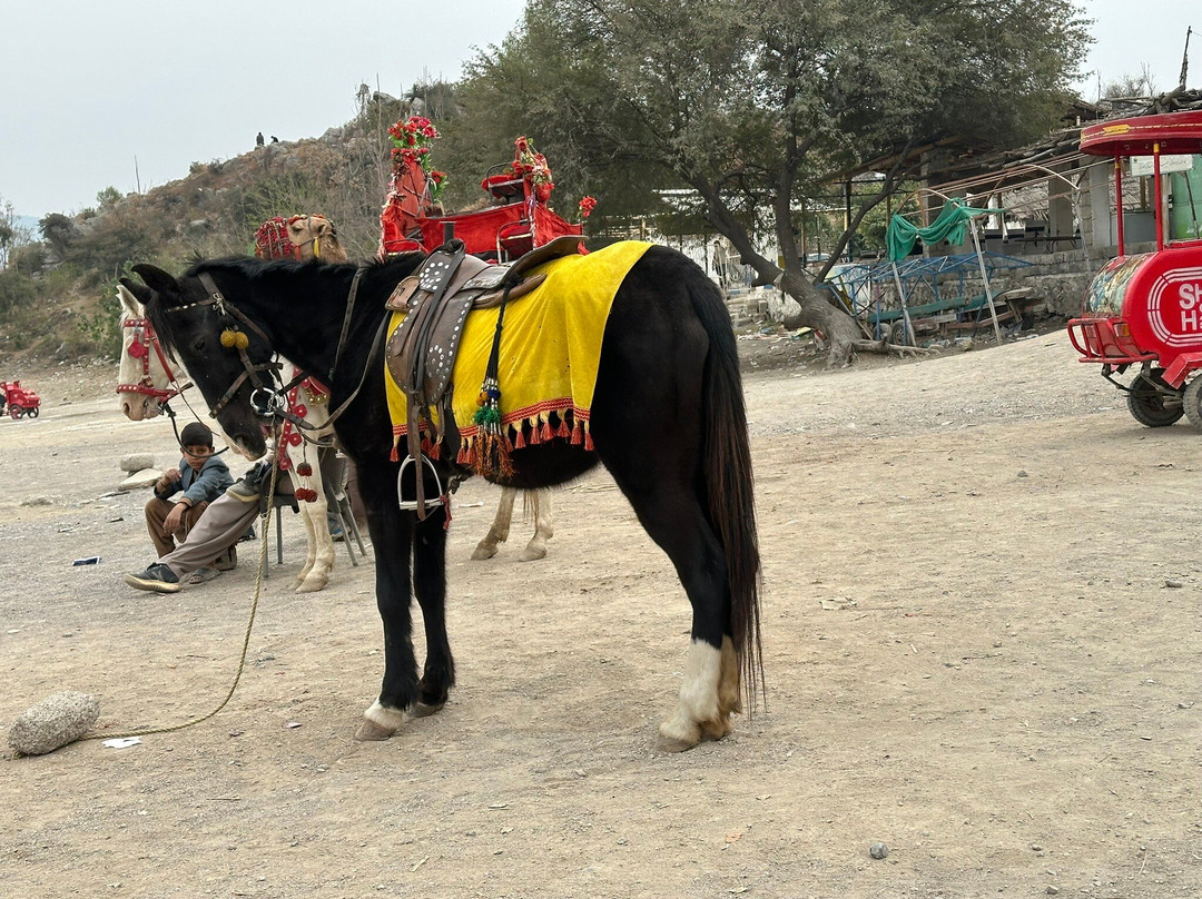 Khanpur Dam-Khanpur必去景点