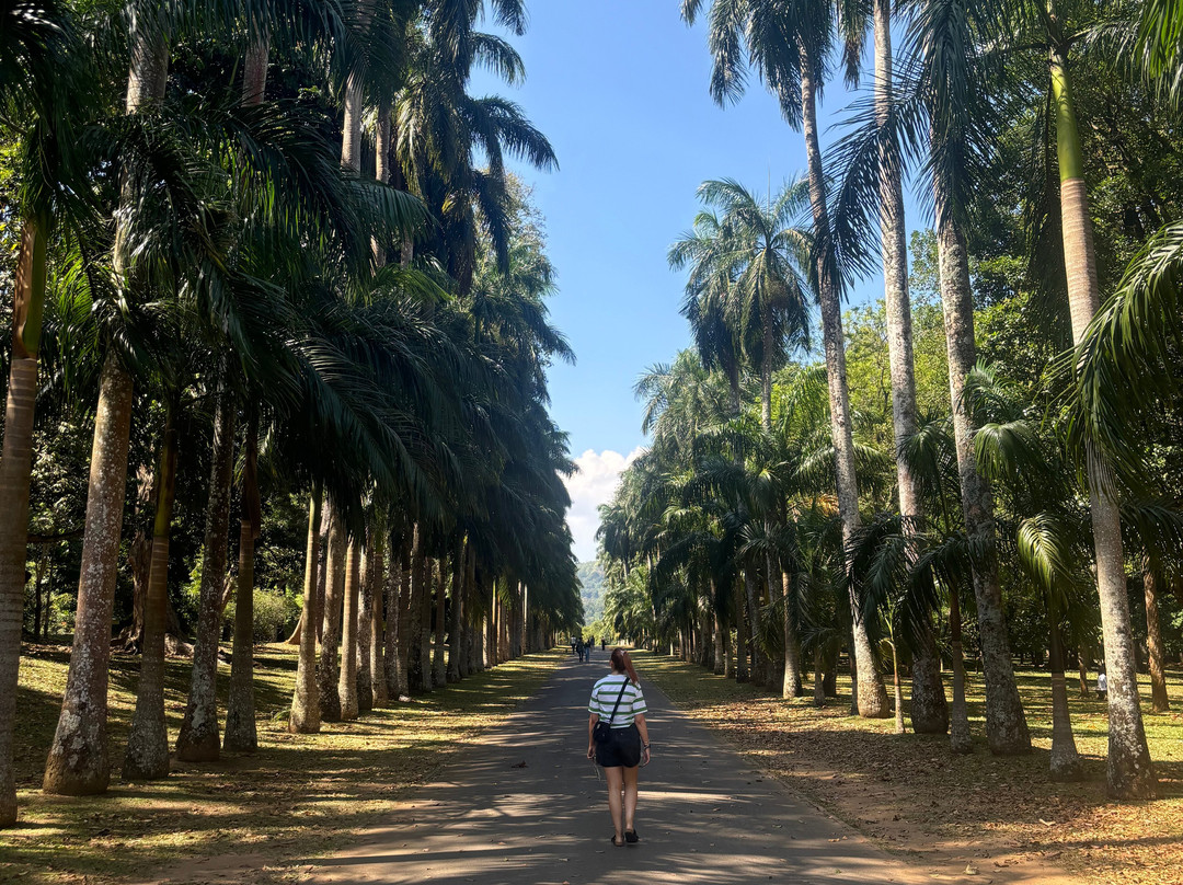 Kandy Blossom Tours景点图片
