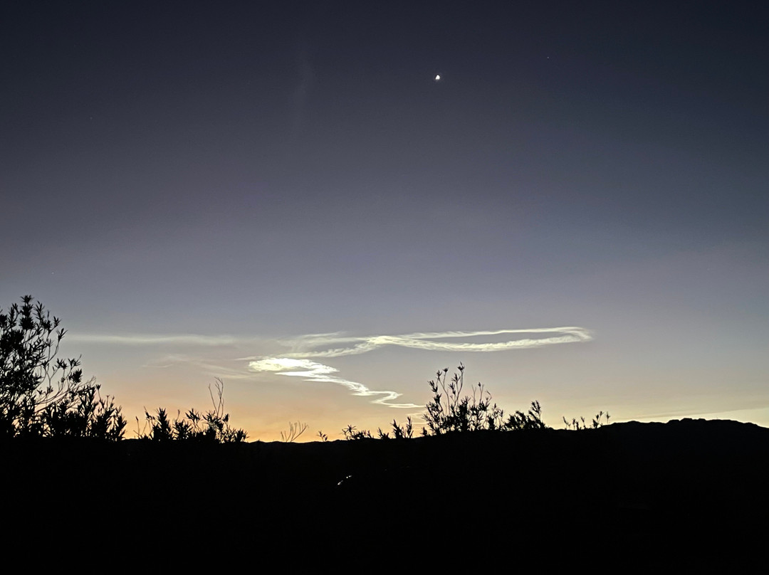 Katherine Landing at Lake Mohave Marina-Bullhead City必去景点