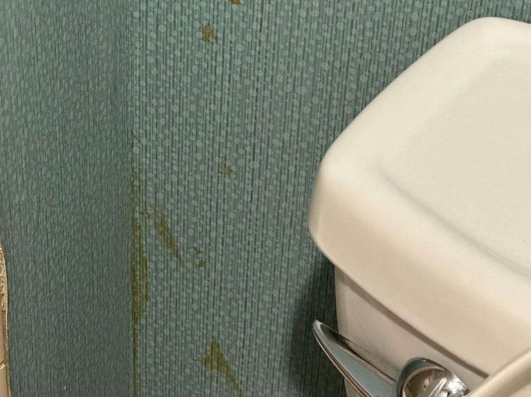 Hyatt Place Memphis/ Germantown主图