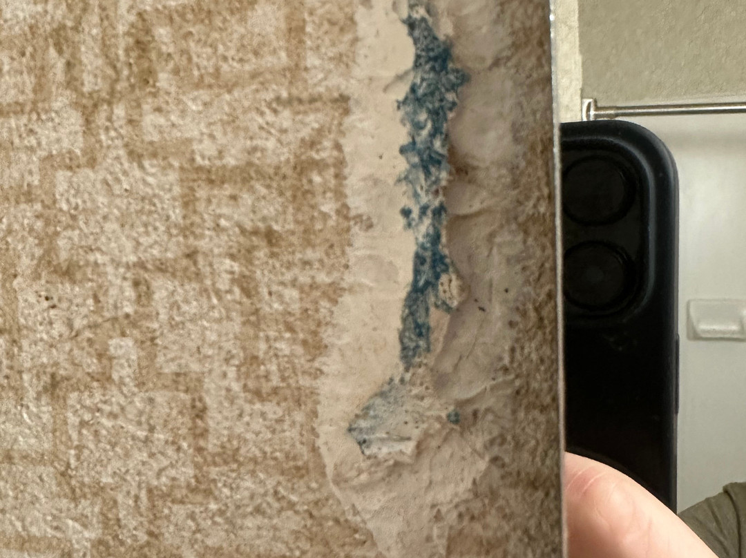 Wingate by Wyndham Gillette主图