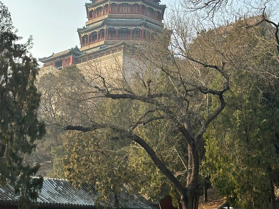 Catherine Lu Tours-成都必去景点