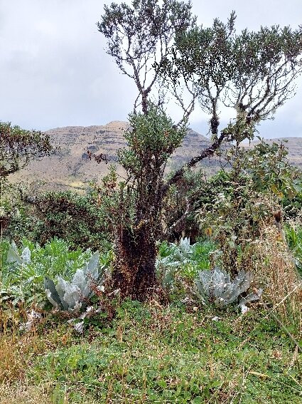 Paramo de Oceta-Mongui必去景点