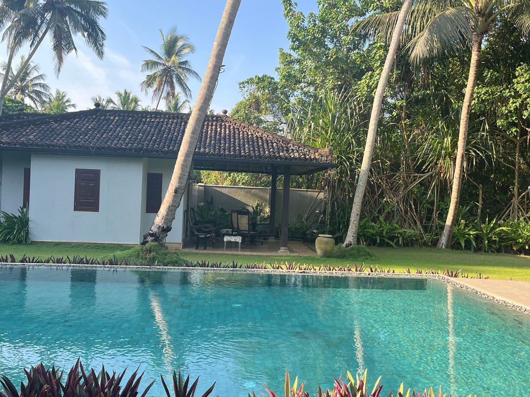 Sundara by Mosvold主图