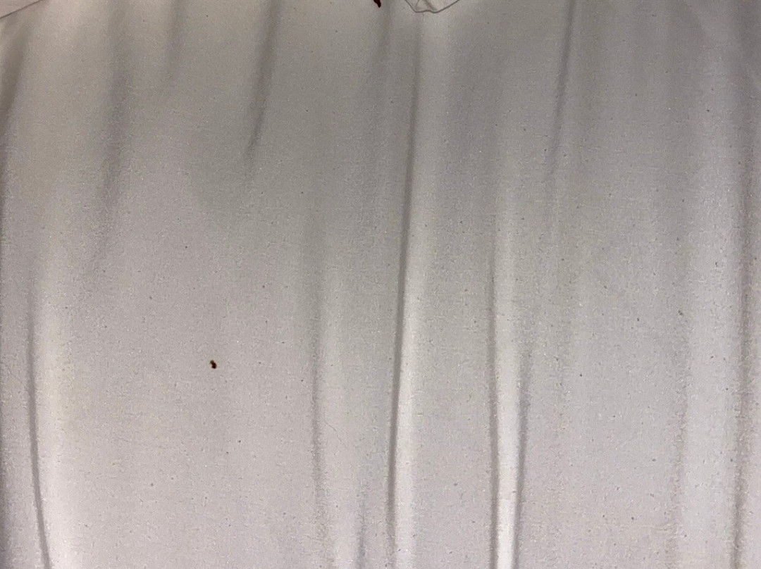 Holiday Inn Express & Suites Maryville By IHG主图