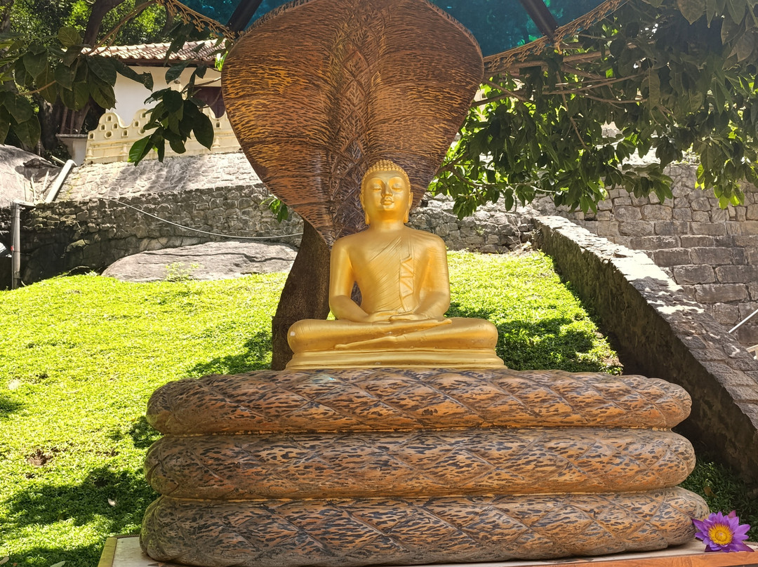 Ayaan Tours Sri Lanka-Katukurunda必去景点