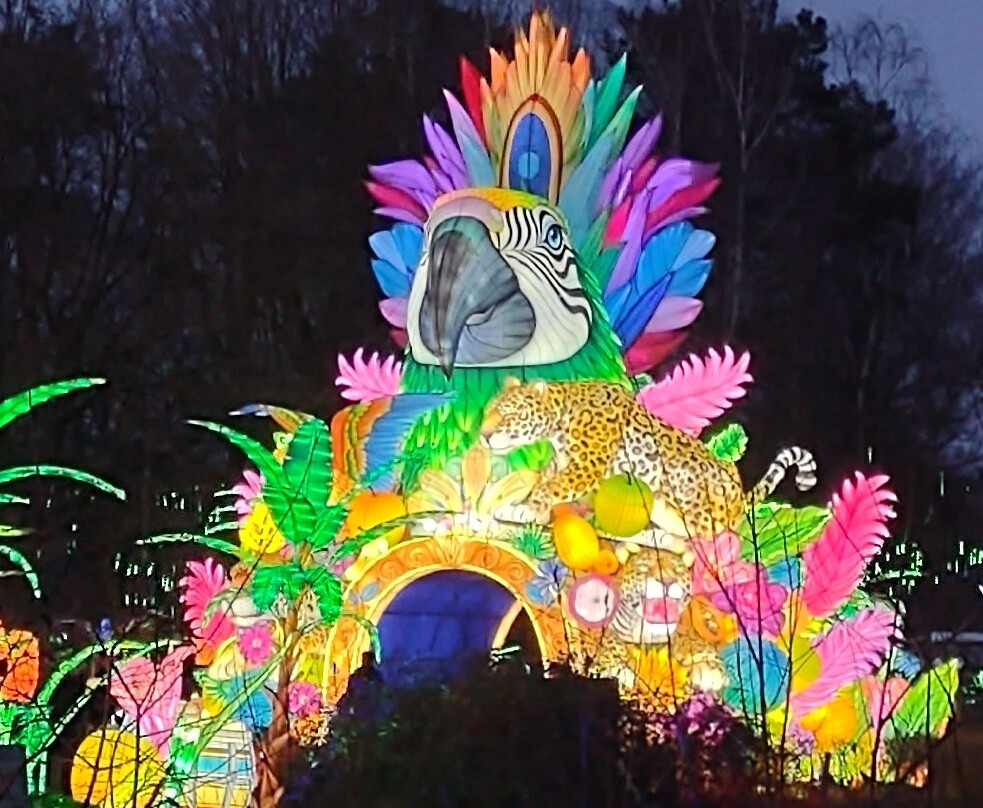 Beekse Bergen - Light Safari景点图片