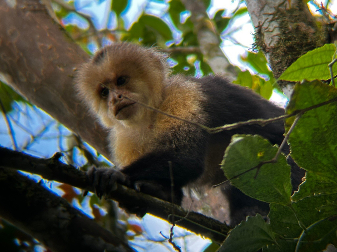 Fayla Tours Costa Rica-萨迪纳尔必去景点