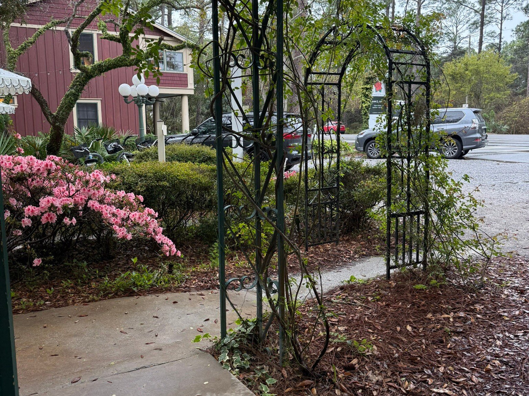 Hibiscus Guesthouse主图