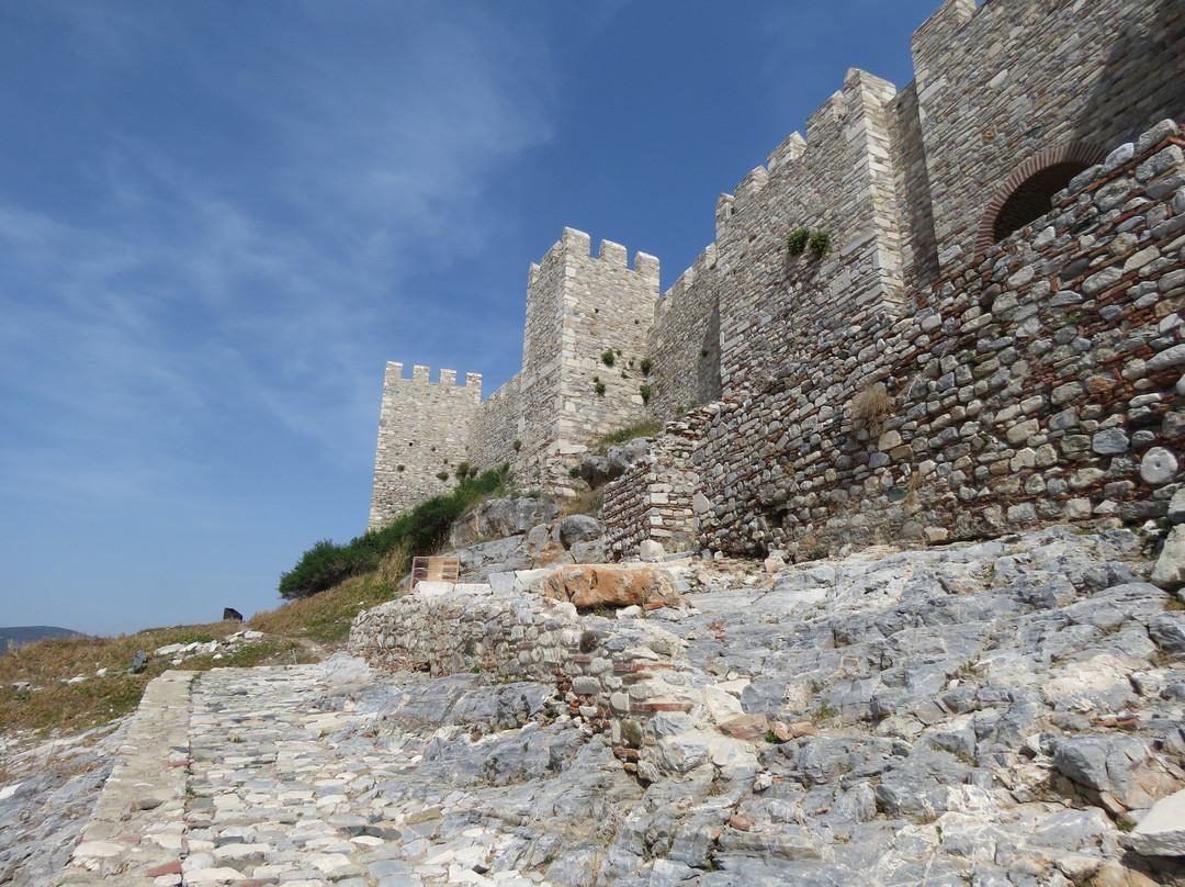 Ayasoluk Castle景点图片
