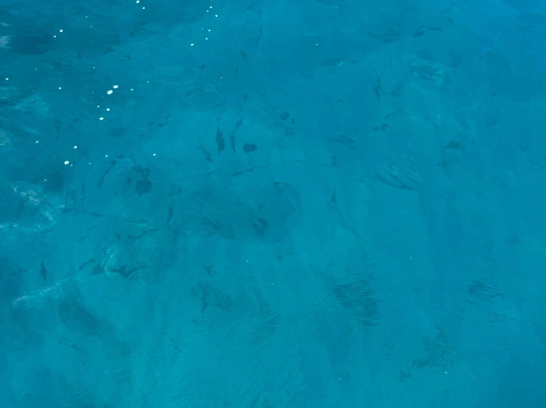 Dirty Boat-伊斯拉摩拉达必去景点