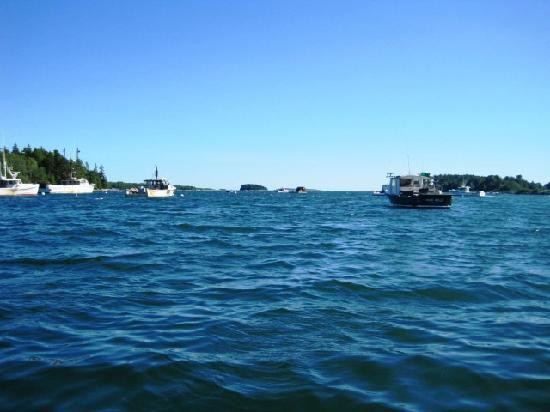 Quahog Bay Inn主图