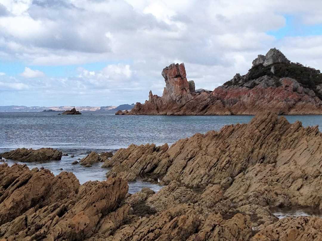Tarkine Trails-Tullah必去景点