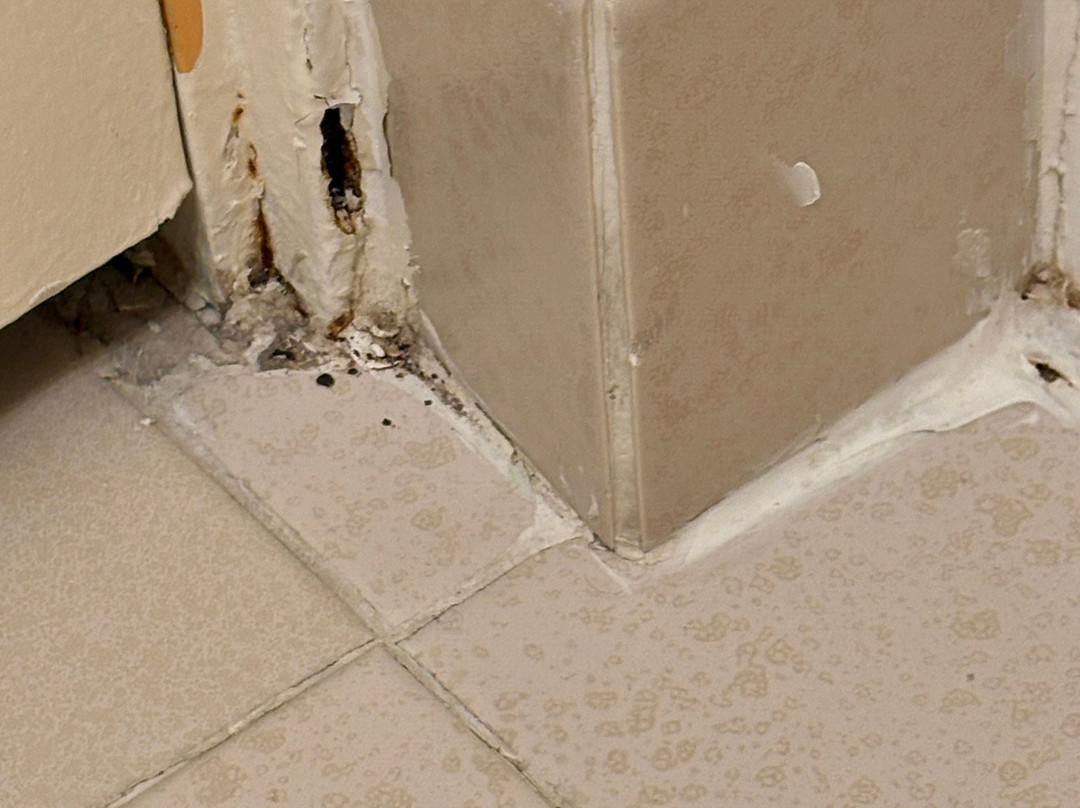 贝斯特韦斯特金帆酒店主图