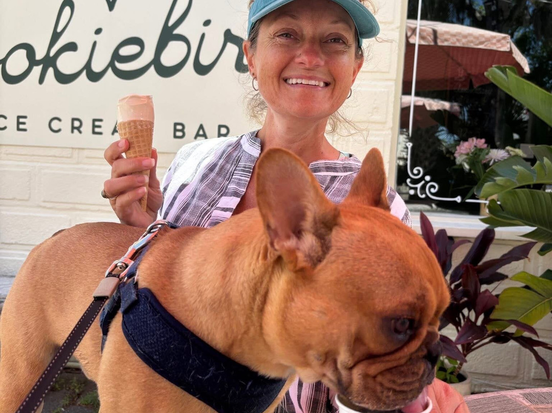 Cookie Bird Ice Cream Bar