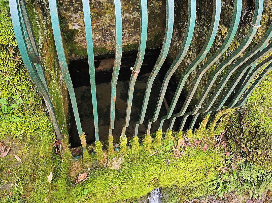 Lavoir De Trousse Chemise景点图片