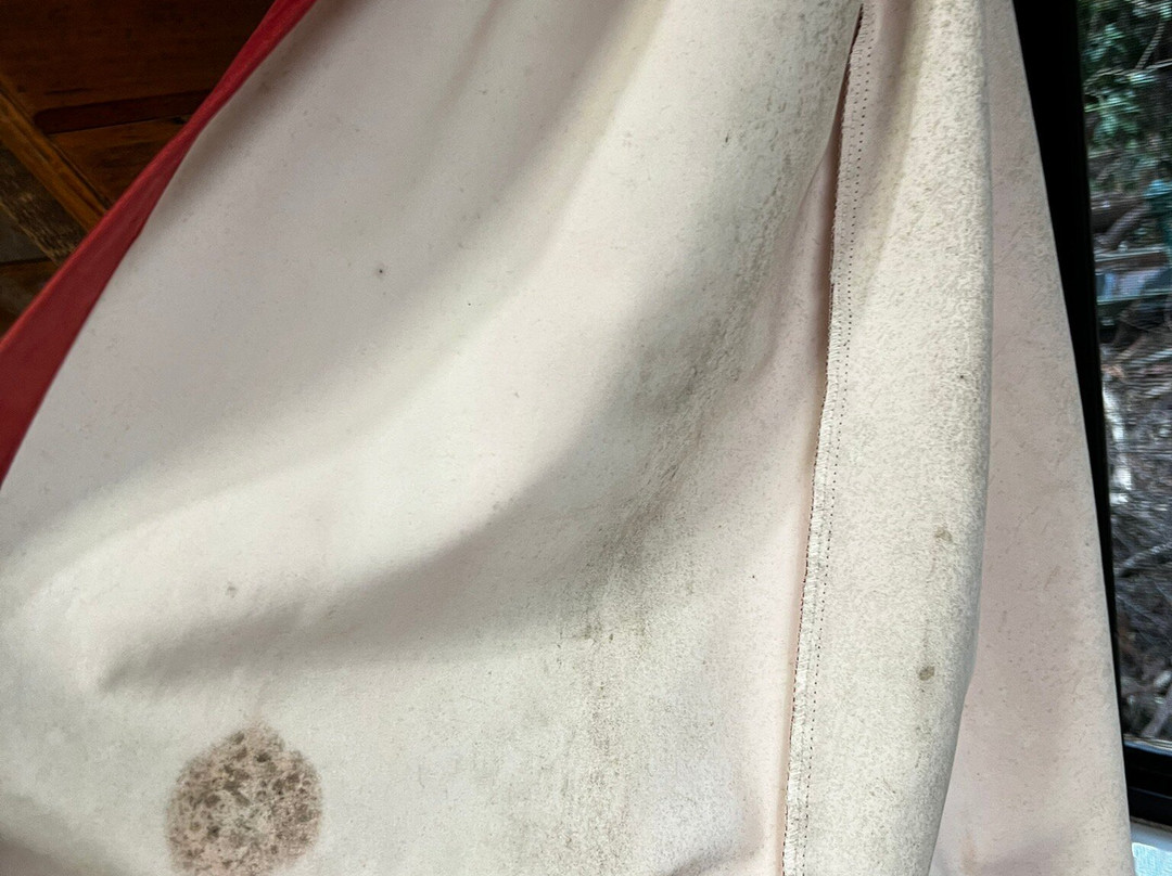 茅斯热带雨林度假村主图