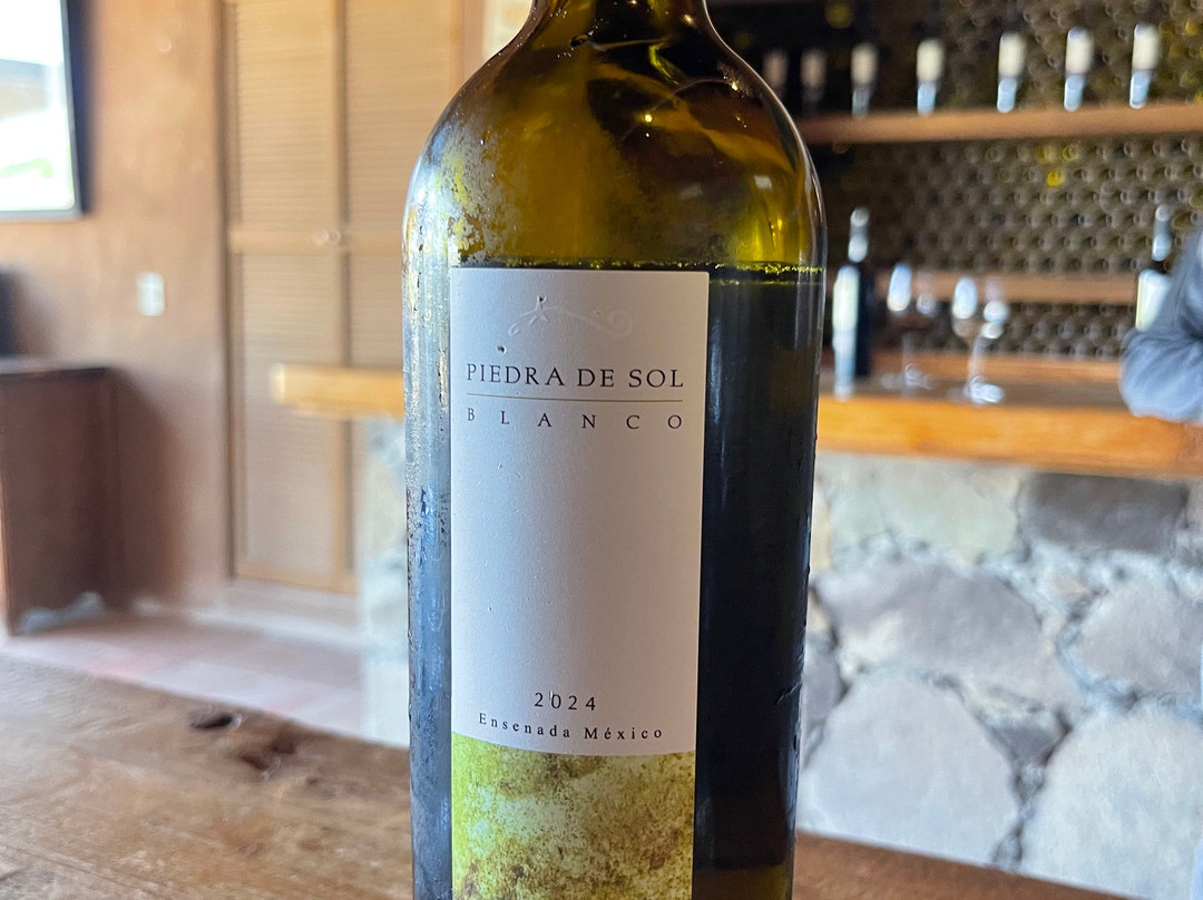 Vinos Casa de Piedra景点图片