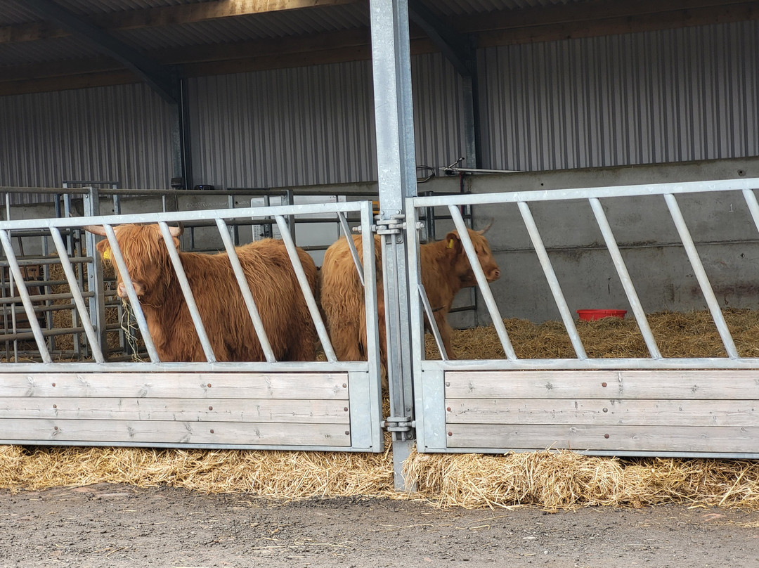 Kilmacolm Farm Tours-Cairncurran必去景点