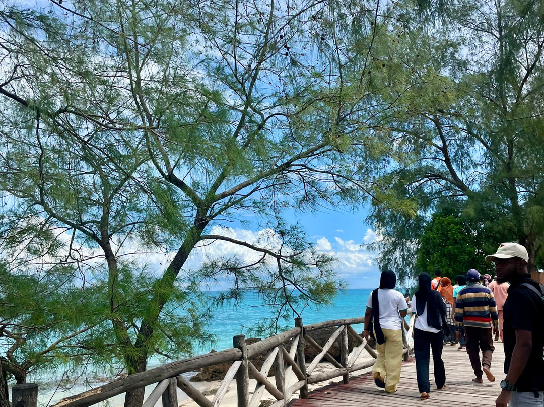 Joyful To Zanzibar-Kizimkazi Dimbani必去景点