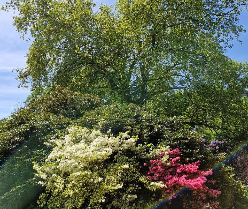 Botanischer Garten der Technischen Universitat Braunschweig景点图片