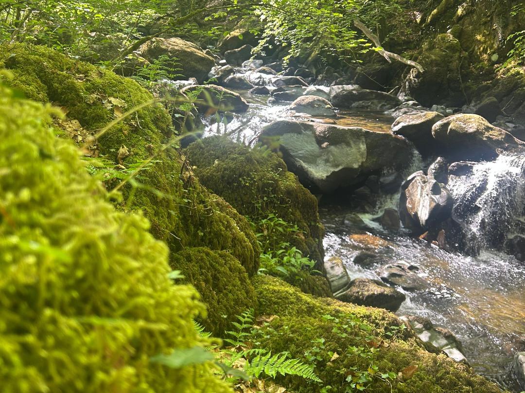 The Royal Ship Hotel主图