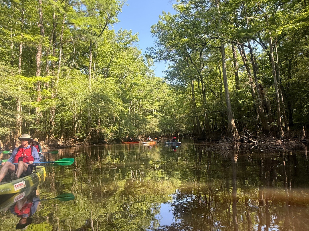 Carolina Outdoor Adventures景点图片