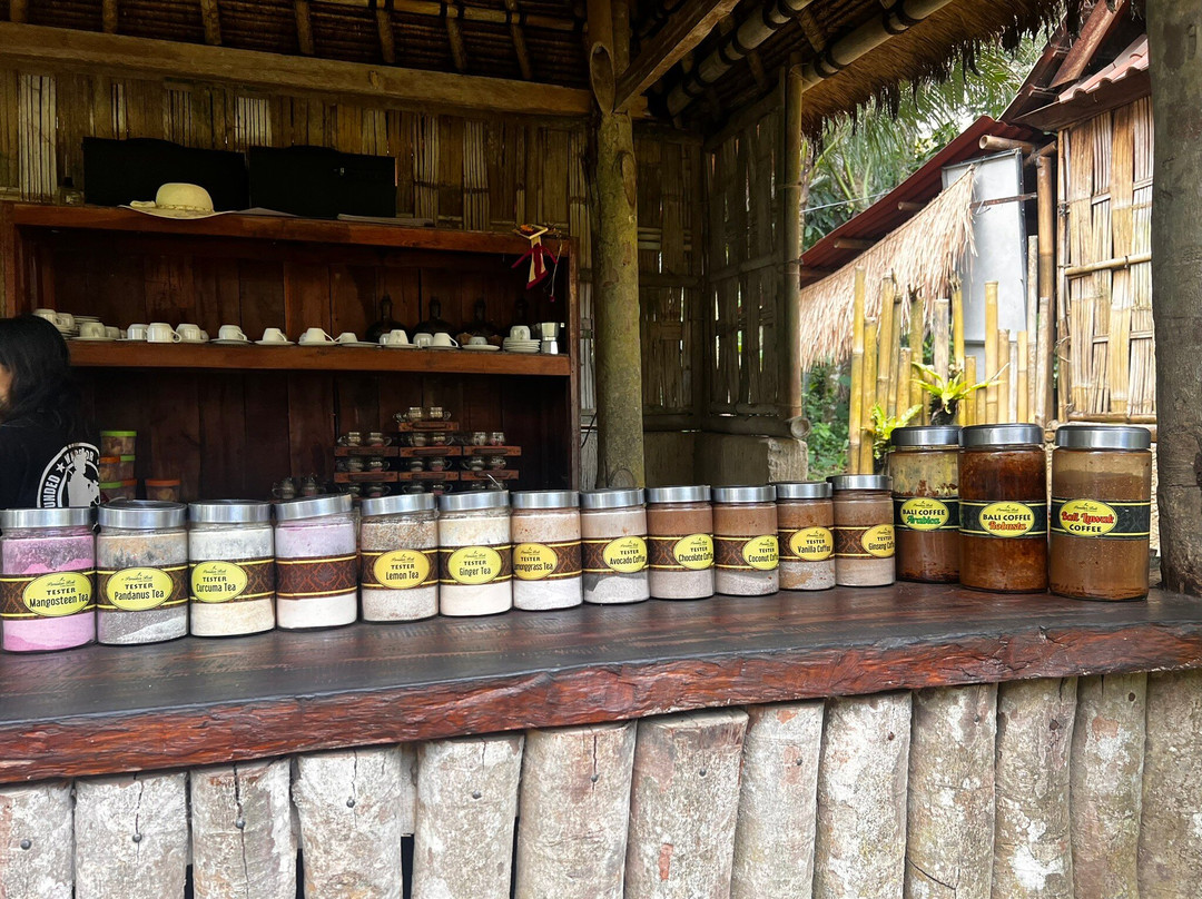 Pemulan Bali Coffee Plantation景点图片