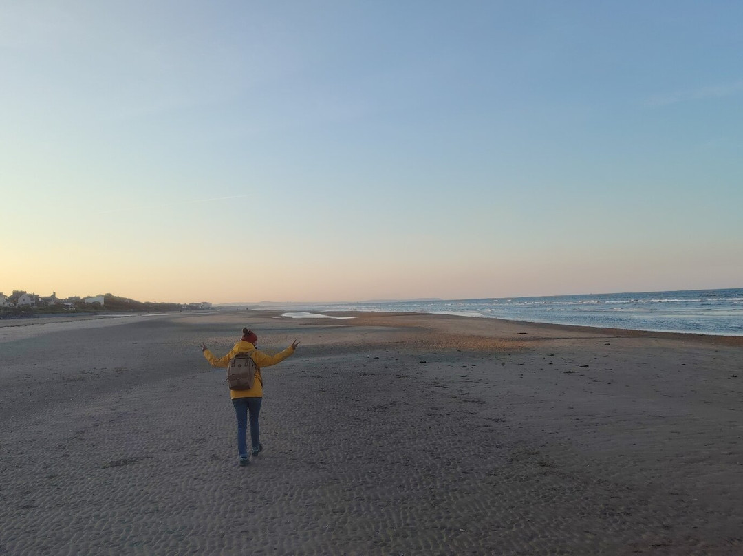 Laytown Races-Laytown必去景点
