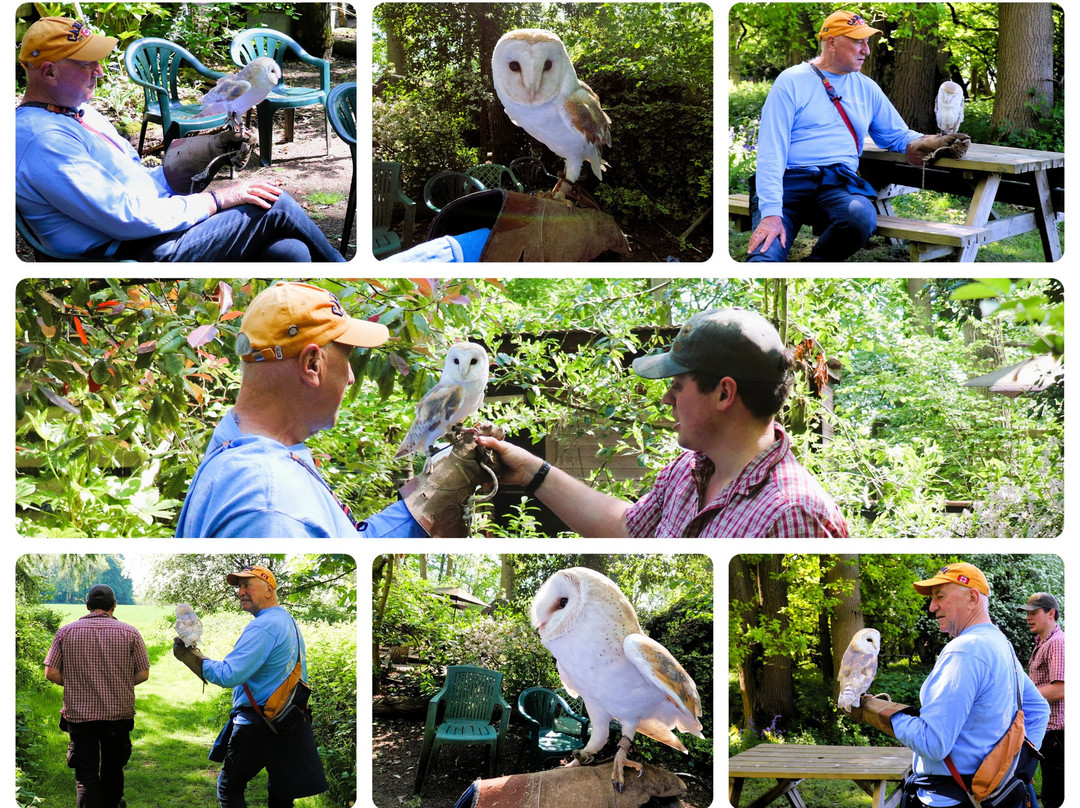 The Rutland Falconry and Owl Centre-Exton必去景点