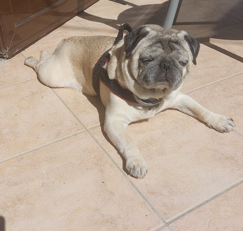 Anaxos Gardens主图